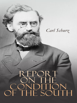 cover image of Report on the Condition of the South